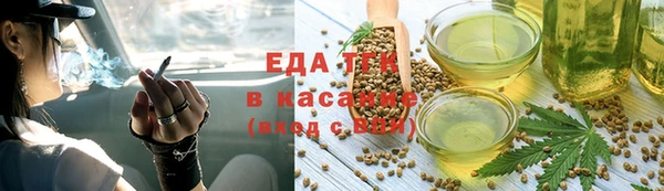 ECSTASY Алзамай